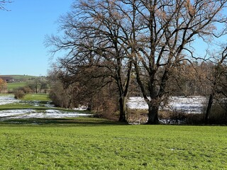 Obraz premium Late autumn landscape and scenery in a park forest along the Swiss Katzenseen lakes or Katzensee lakes (Katzen lakes), Regensdorf - Canton of Zurich (Zürich or Zuerich), Switzerland (Schweiz)