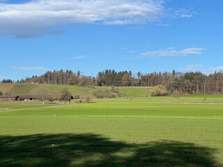 Obraz premium Late autumn landscape and scenery in a park forest along the Swiss Katzenseen lakes or Katzensee lakes (Katzen lakes), Regensdorf - Canton of Zurich (Zürich or Zuerich), Switzerland (Schweiz)