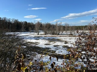 Late autumn landscape and scenery in a park forest along the Swiss Katzenseen lakes or Katzensee lakes (Katzen lakes), Regensdorf - Canton of Zurich (Z&uuml;rich or Zuerich), Switzerland (Schweiz)