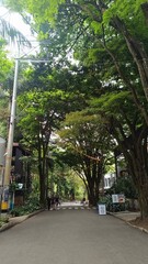 Medell&iacute;n, El Poblado.