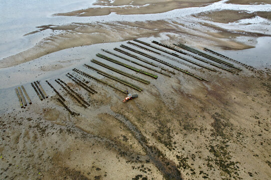 Aerial view of serene oyster farm with tranquil waters and coastal shoreline, Ullapool, United Kingdom.