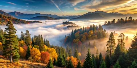 Fototapeta premium Golden Sunrise Over Foggy Mountain Forest, sunrise, mountain, forest, fog