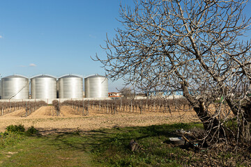 Paisaje de campo con viñas y contenedores de acero inoxidable de vino.