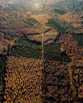 Aerial view of circle park with walking paths leading to oak tree De Eenzame Eik during frost in autumn, Sterrenbos, Amerongse Berg, Utrechtse Heuvelrug, Utrecht, Netherlands.