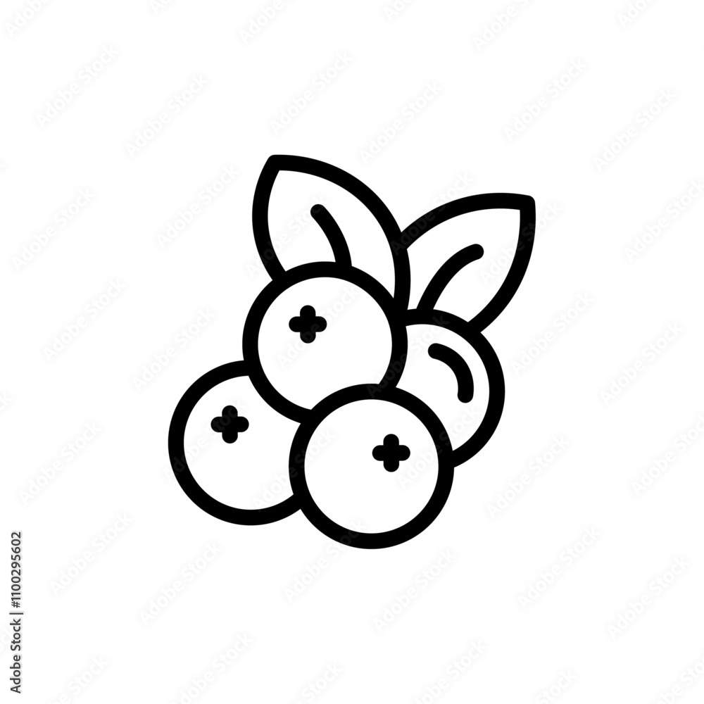 Poster Cranberry icon Outline vector for web ui