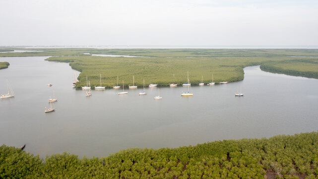 Aerial view of serene coastline with cruise ship and boats amidst lush greenery, Sinchu Alagi, The Gambia.