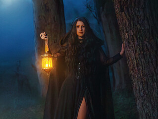 photo real person, gothic woman queen walking in dark dense fog forest hand hold lantern lamp...
