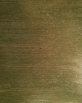 Aerial view of a vibrant agricultural field with a tractor in a rural landscape, Teulat, France.