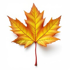 Fototapeta premium 3D rendered autumn leaf, red maple, scenic backdrop.