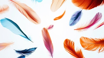 Obraz premium Symbolic portrayal of diversity represented by a scattering of multicolored, abstract feathers floating in a minimalist space, Photo of