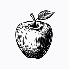Vintage style illustration of an apple with leaf on white background for food and health concepts