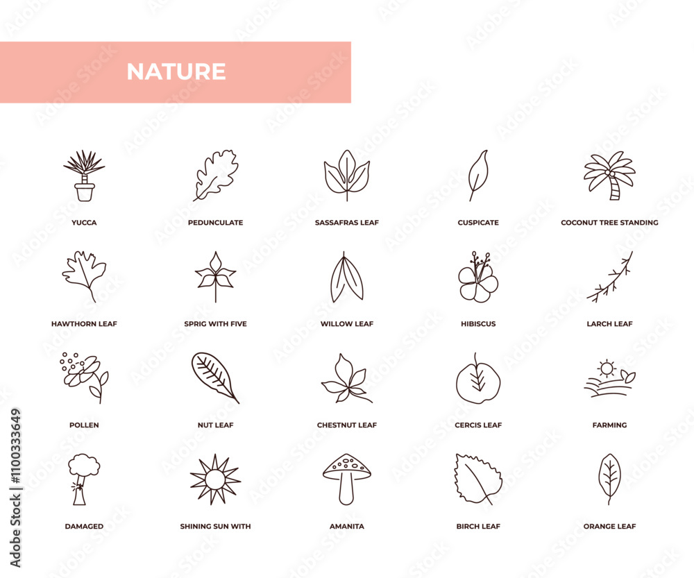 Aufkleber fully editable outline icon collection from nature concept. thin line icons set such as yucca, pedun