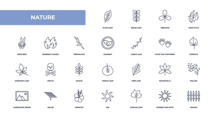 fully editable outline icon collection from nature concept. thin line icons set such as plum leaf, briar leaf, burning flames, shining sun with rays, fences,