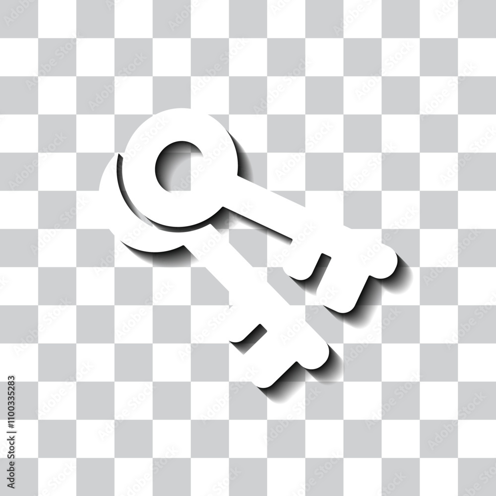 Poster key simple icon vector. flat design. white with shadow on transparent grid