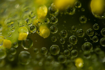 Water drops on a green background. Water droplets