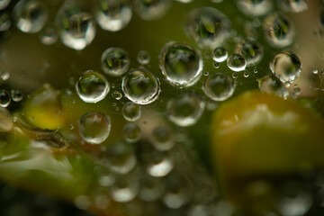 Water drops on a green background. Water droplets