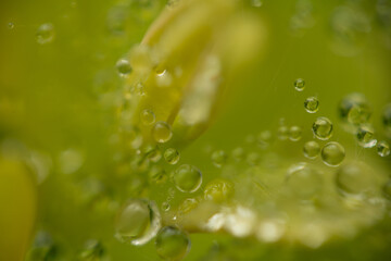 Water drops on a green background. Water droplets