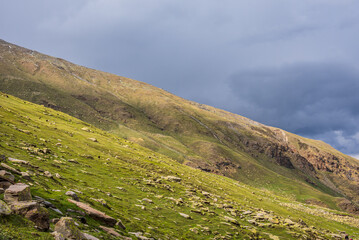 View of alpine meadows enroute to Rupin pass trekking trail in Himachal Pradesh. It is a high altitude trek located at 4650m with Himalayan ranges, glacial meadows and snow-covered landscapes.