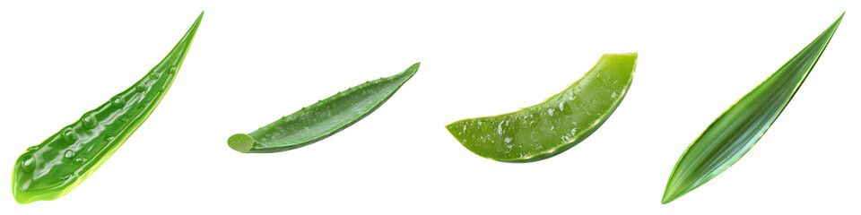 Aloe vera leaf isolated on transparent background, Set of