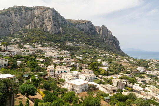 View of picturesque coastal town with white buildings and lush greenery, Capri, Italy.
