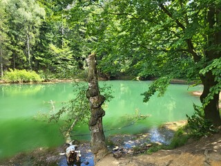 Zielone jeziorko © Barbara