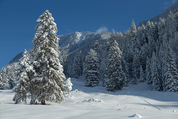 Obraz premium Winter Wonderland in Bavaria