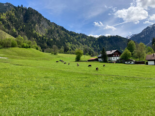Picturesque spring landscape, Bad Hindelang, Bavaria, Germany