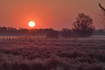 Winter sunrise over the misty field © Tomasz