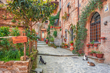 Antique italian alley with cats, View of Old street, Italy, Europe