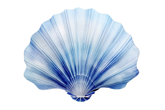 Blue watercolor seashell illustration isolated on transparent background