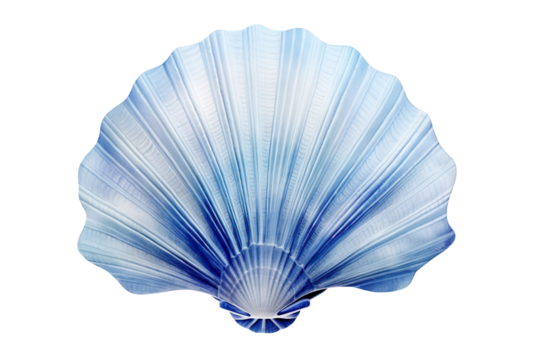 Blue watercolor seashell illustration isolated on transparent background