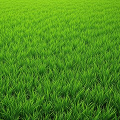 Obraz premium Lush green grass with visible blades and a slight sheen from being freshly cut, lawn care, lush, greenery, hybrid grass, verdant