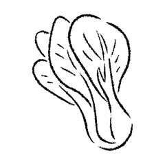 手描きのチンゲン菜のイラスト2_白黒