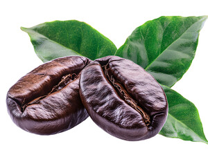 a coffee beans and leaves
