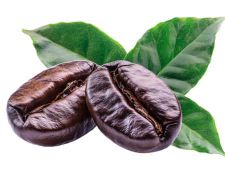 a coffee beans and leaves