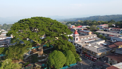 Parque Victoria Caldas, Ceiba