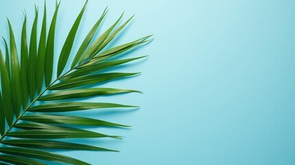 Fototapeta premium Spa Scene with Palm Leaf and Blue Background
