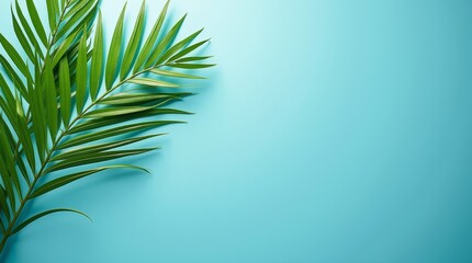 Fototapeta premium Spa Scene with Palm Leaf and Blue Background