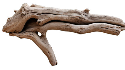 Weathered driftwood piece isolated on transparent background