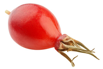Rose Hip isolated on white background, full depth of field