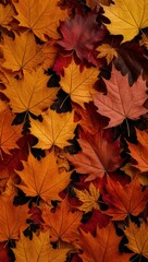 Fototapeta premium Thanksgiving Rustic Autumn Decor in 300 DPI