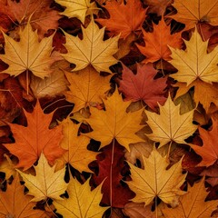 Fototapeta premium Thanksgiving Rustic Autumn Decor in 300 DPI