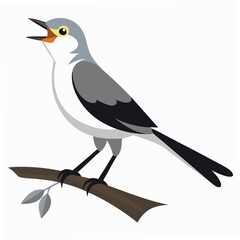 A singing northern mockingbird perched gracefully on a tree branch, showcasing its vibrant song and natural beauty in a detailed illustration or photograph