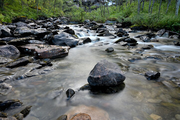 Mountain River in the wood