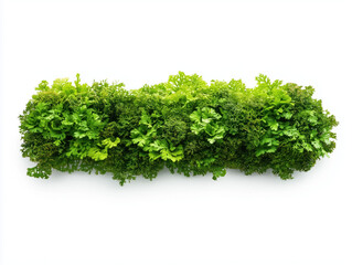 Obraz premium Moss-Covered Sound Barriers Create a Serene Atmosphere Along Eco-Friendly Highway for Electric Vehicles, Harmonizing Nature with Modern Transportation