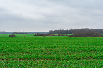 Vast green fields stretch across the landscape, dotted with patches of trees against an overcast sky typical of early spring. Fresh growth emerges after winter.