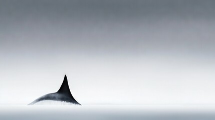 Fototapeta premium A monochrome image of a shark fin swimming in a body of water under a grey sky