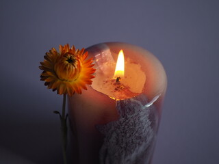Eine Kerze brennt in der Adventszeit, eine orange Strohblume lehnt am Rand