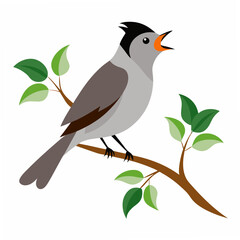 A charming Common Blackcap bird singing melodiously while perched on a tree branch, embodying the serenity of nature.
