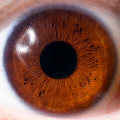 Extreme Macro Photography of Human Brown Dark Eye Details of Iris and Pupil
